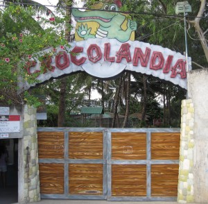 Crocolandia, Talisay City, Cebu