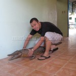 Mark with Crocodile Replica