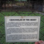 Crocodiles in the Midst