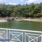 The Lake and the Cottages