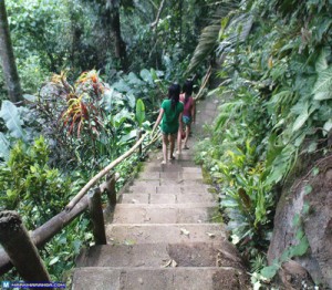 Going down to Tinago Falls