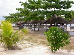 Cogon grass cottages