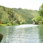 The Long Loboc River