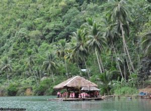 Rondalla House and Leaning Trees from afar