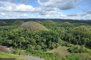 Chocolate hills