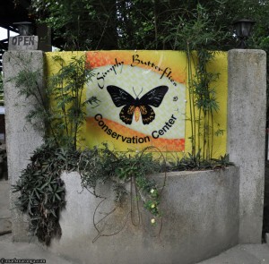 Simply Butterflies Conservation Center