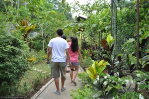 The Butterfly Enclosure