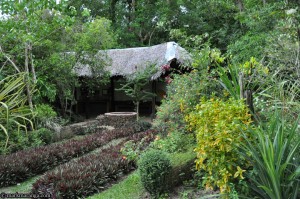 The well and butterfly garden