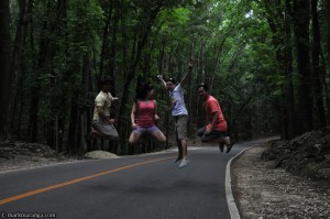 Enjoying at Bohol man-made forest