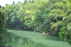 A view of Loboc River from the Bridge