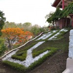Chinese Writings made from Grass Formation