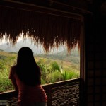 Inside the Nipa House