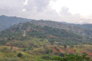 A view of Cebu Mountains