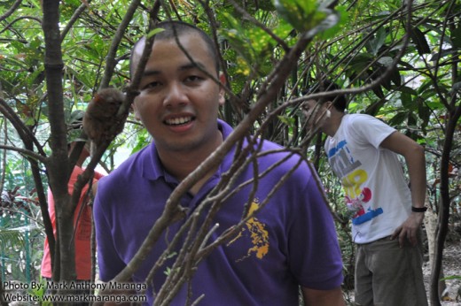 Mark near the Tarsier