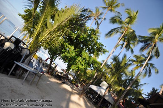 Tall Trees at Panglao Beach Resort