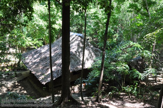 Rizal's House from Above