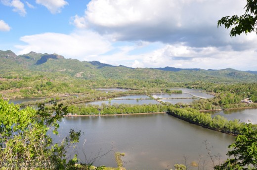 Fish Pond: View from top of Ilihan