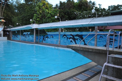 Adult Pool with Diving Board