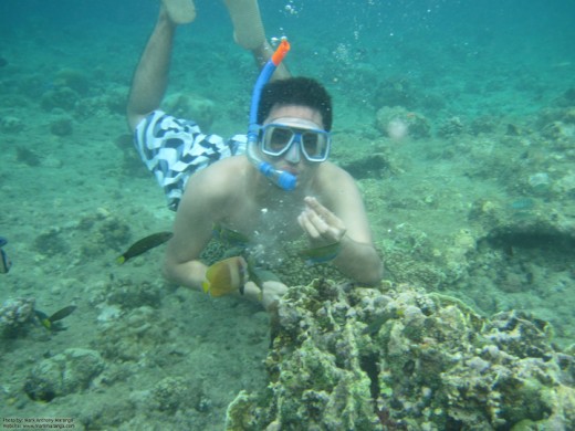 Underwater snorkeling: Jim Ray feeding the fishes