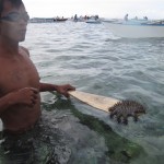 Sea Urchin: Be careful not to step on this