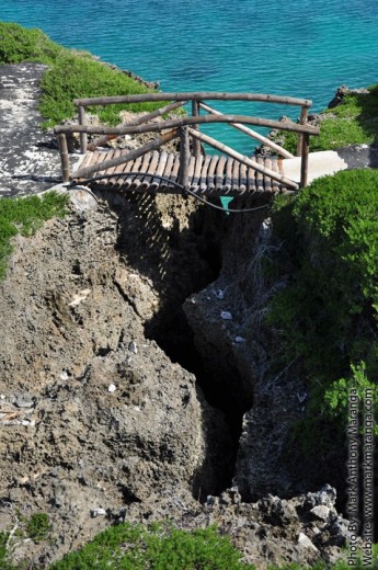 Bridge that connects a breakage of the islet