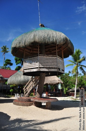Big tropical hut