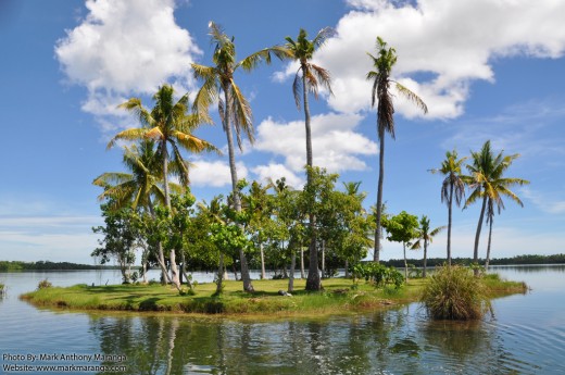 Snake Islet