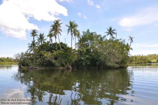 Crocodile Islet