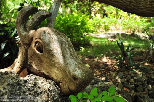 Goat Carving