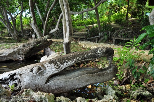 Crocodile wood carvings