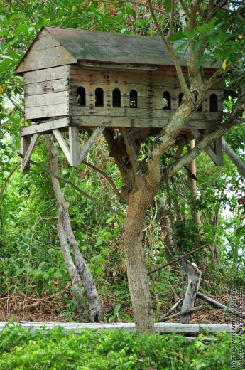 Bird House