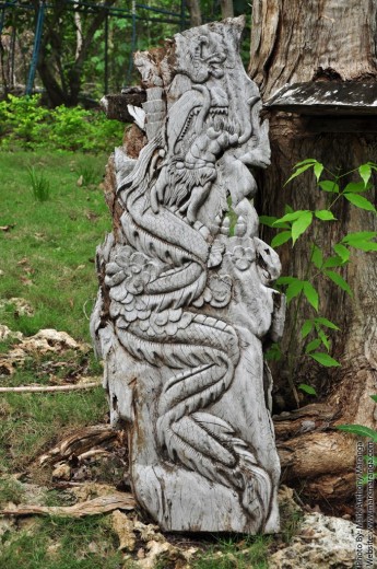 Wood carving of a Dragon
