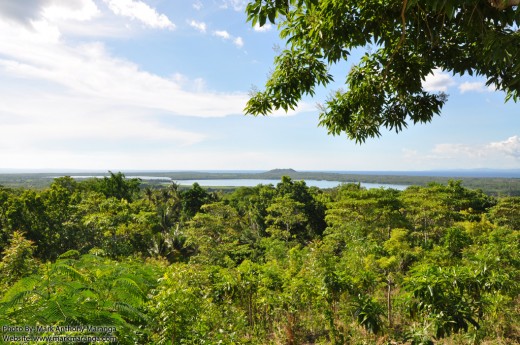 View of Lake Danao from Arqui's Viewing Deck