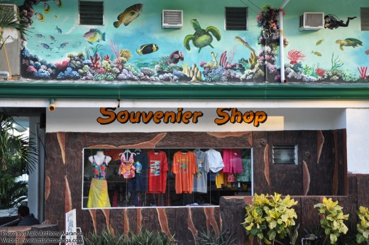 Souvenir Shop