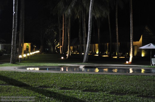 The row of trees and rooms at night