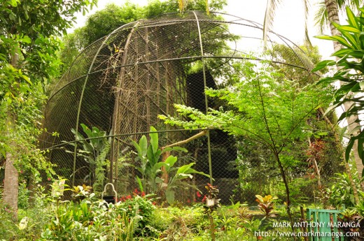 Aling Naty's Dome