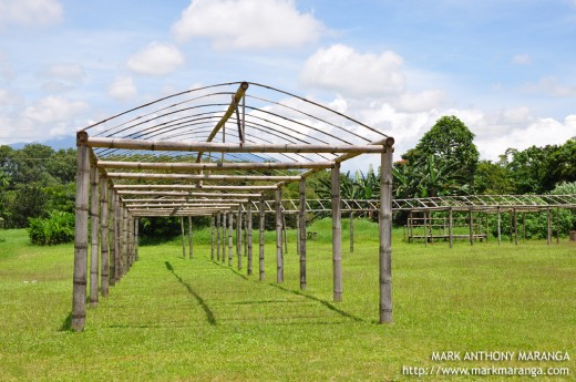 Bamboo Shelter to be used during gatherings