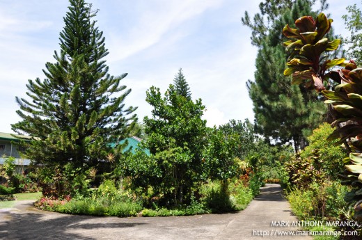 Carmelite Monastery Garden