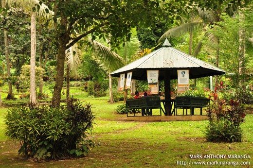 Cottage at Philippine Eagle Center