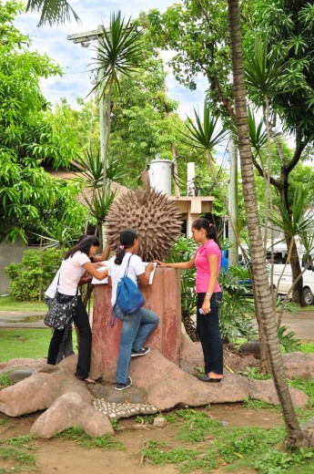 Durian Sculpture at Magsaysay Park