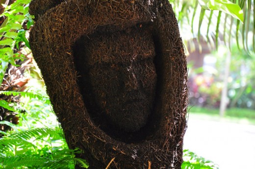 Face designed from dried plant stem