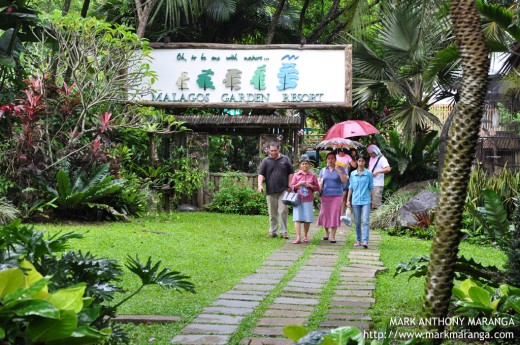 Guest brisk walking at Malagos Garden Resort