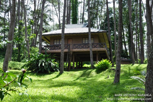 Indigenous House