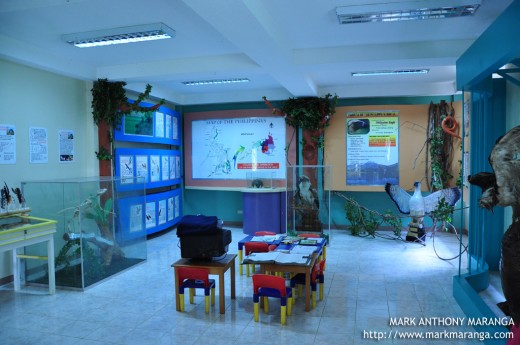 Interior of Diola's Forest Learning Center