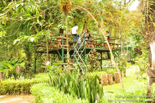 Resting and Eating Area