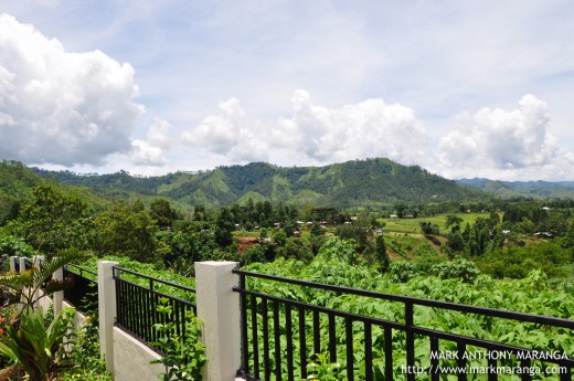 View from Loiza's Pavilion