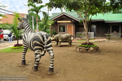 Zebra and Hippo inside the Park