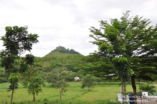 A view of Mount Musuan near Central Mindanao University