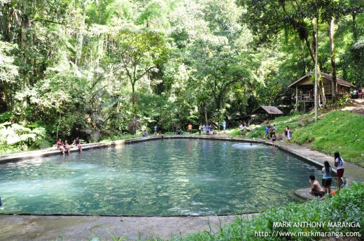 CEDAR Spring Pool