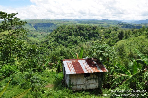 Lush Greenery Panoramic View of Bukidnon